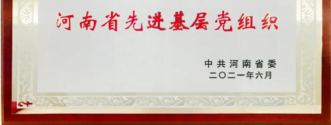 【索克荣誉】索克党委荣获省级先进基层党组织称号